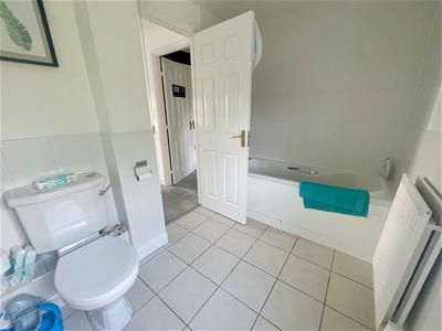 Picture 13